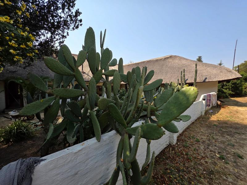 To Let 4 Bedroom Property for Rent in Morningside Gauteng