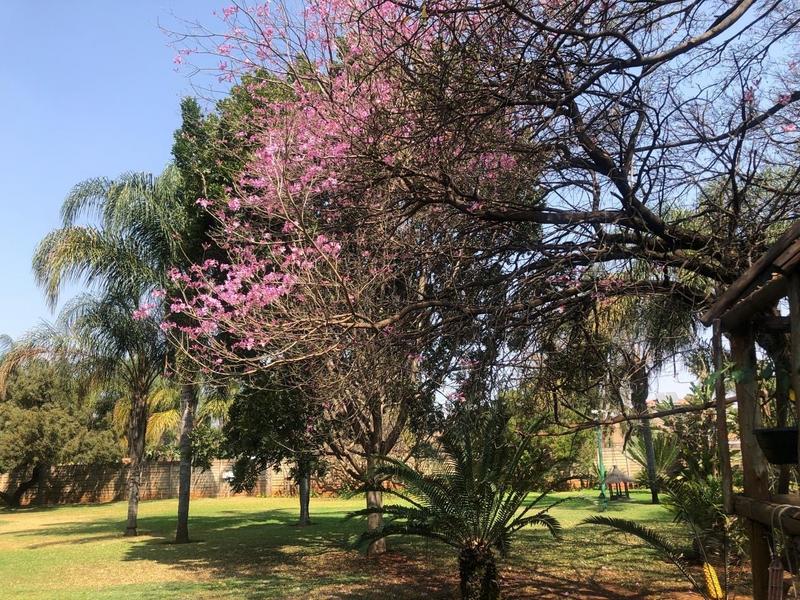 12 Bedroom Property for Sale in Montana Gauteng