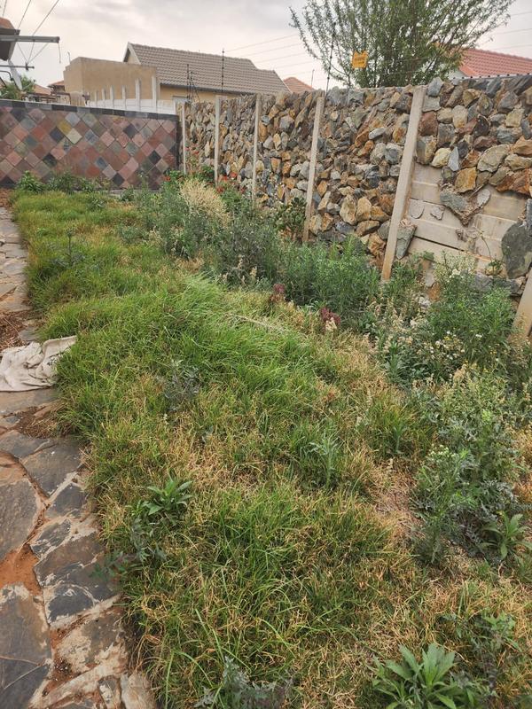3 Bedroom Property for Sale in Alliance Gauteng