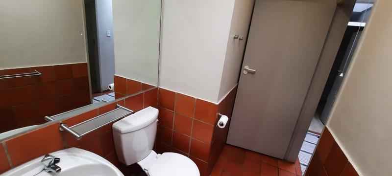To Let 3 Bedroom Property for Rent in Muckleneuk Gauteng