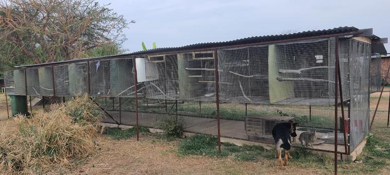 3 Bedroom Property for Sale in Haakdoornboom Gauteng