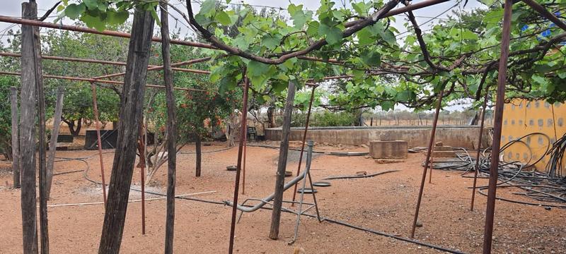 21 Bedroom Property for Sale in Bultfontein Gauteng
