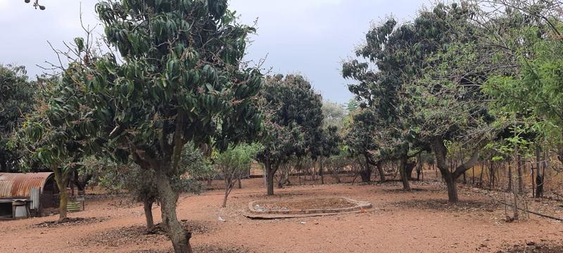 21 Bedroom Property for Sale in Bultfontein Gauteng