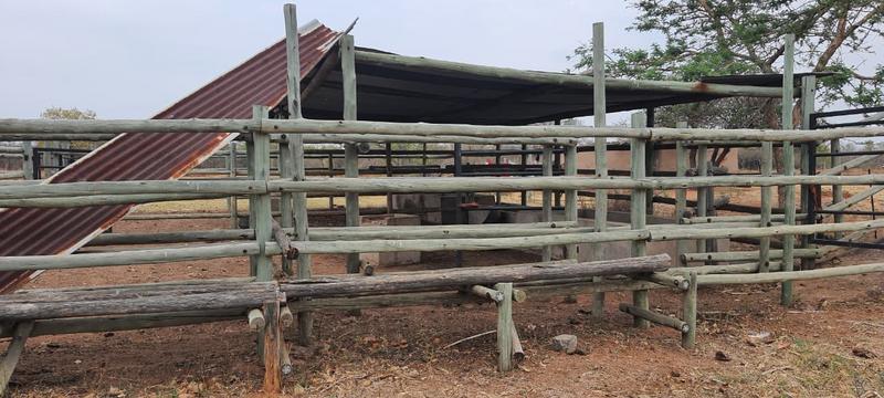 21 Bedroom Property for Sale in Bultfontein Gauteng