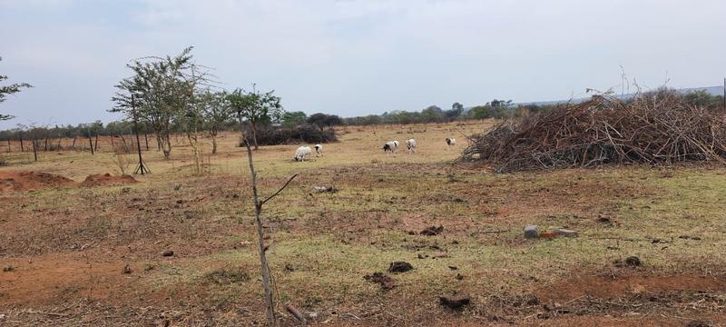 21 Bedroom Property for Sale in Bultfontein Gauteng