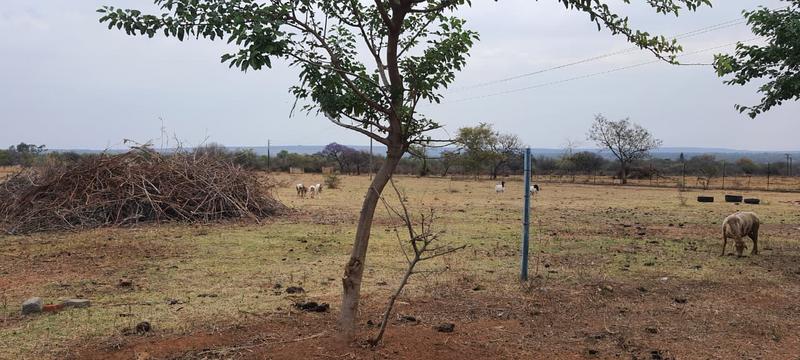 21 Bedroom Property for Sale in Bultfontein Gauteng