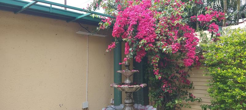 3 Bedroom Property for Sale in Pretoria North Gauteng