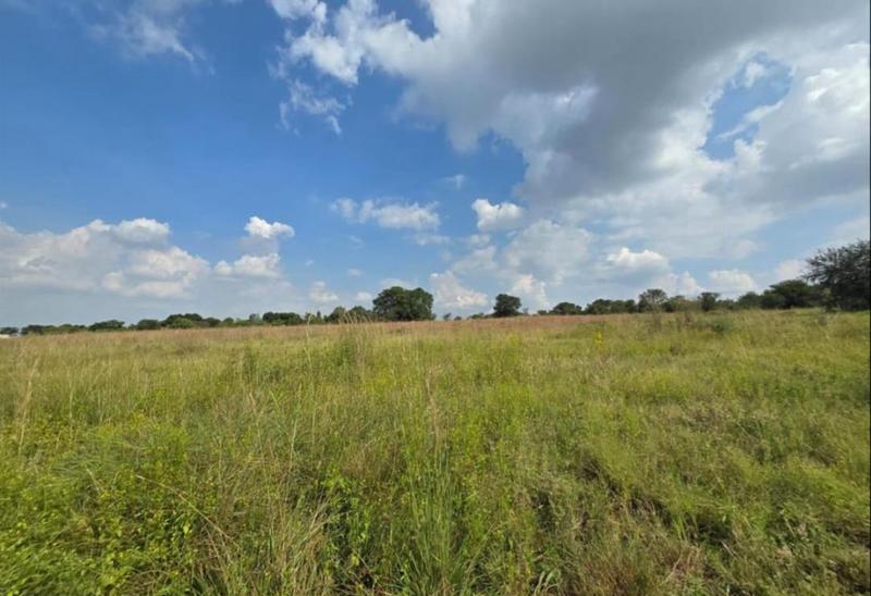 0 Bedroom Property for Sale in Walkerville Gauteng