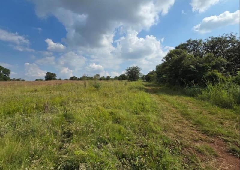 0 Bedroom Property for Sale in Walkerville Gauteng