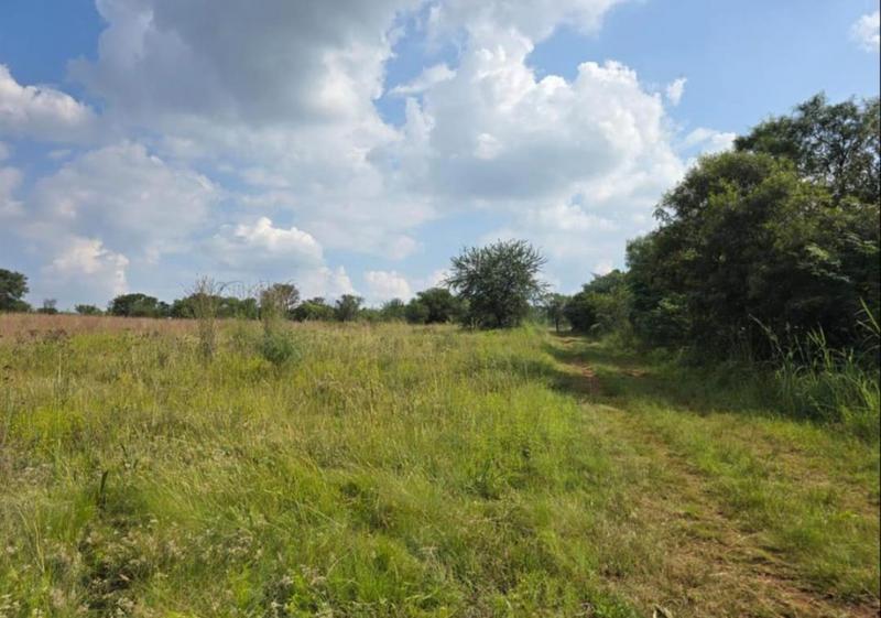 0 Bedroom Property for Sale in Walkerville Gauteng