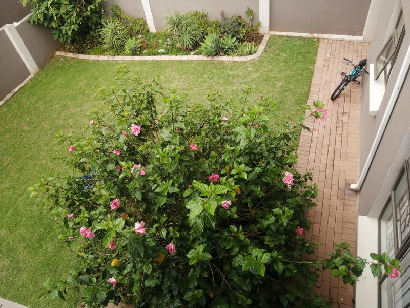 To Let 3 Bedroom Property for Rent in Amorosa Gauteng