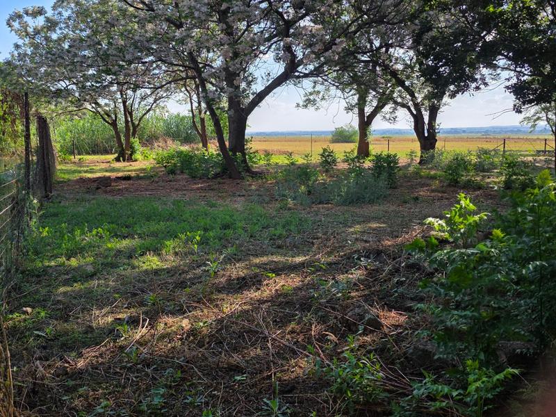 5 Bedroom Property for Sale in Boltonwold Gauteng