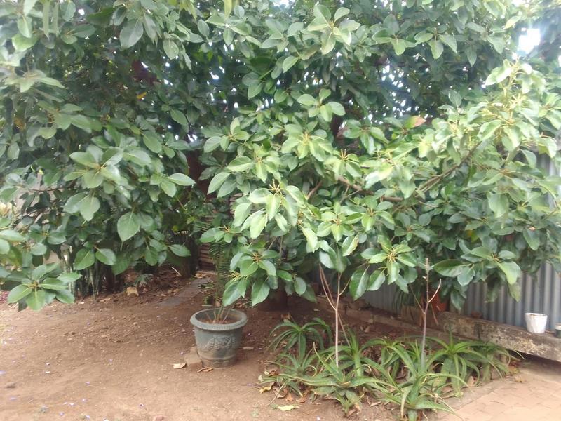 3 Bedroom Property for Sale in Daspoort Gauteng