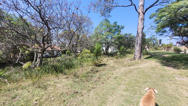 0 Bedroom Property for Sale in Bellairspark Gauteng