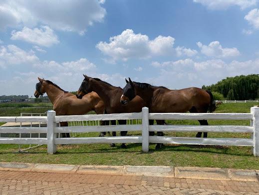 0 Bedroom Property for Sale in Dunblane Lifestyle and Equestrian Estate Gauteng