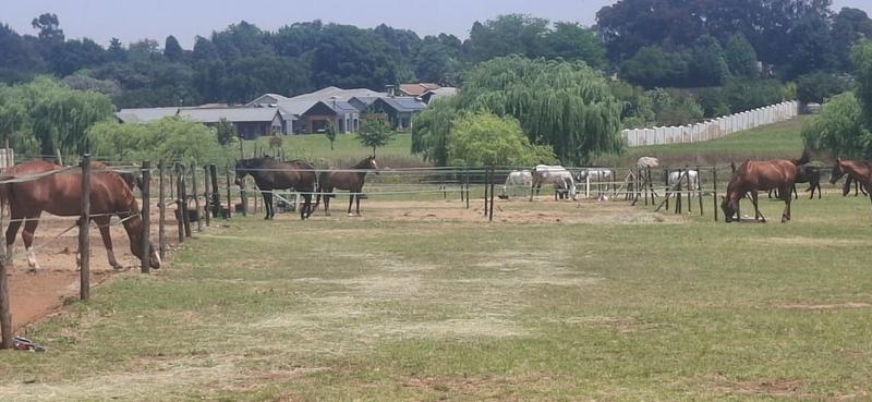 0 Bedroom Property for Sale in Dunblane Lifestyle and Equestrian Estate Gauteng