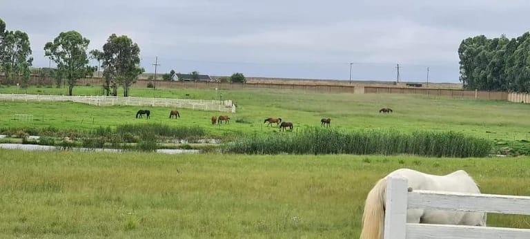 0 Bedroom Property for Sale in Dunblane Lifestyle and Equestrian Estate Gauteng