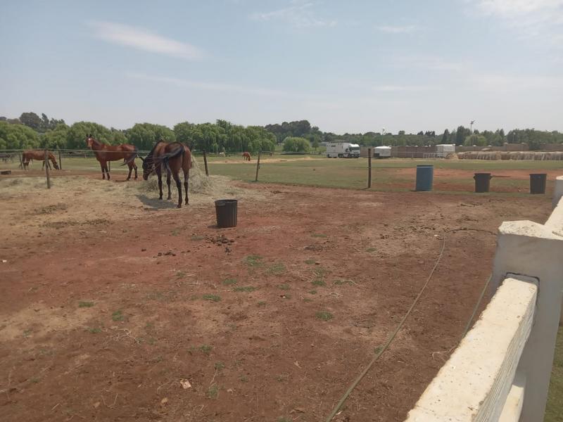 0 Bedroom Property for Sale in Dunblane Lifestyle and Equestrian Estate Gauteng