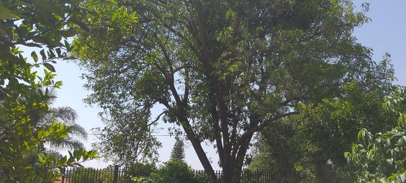 5 Bedroom Property for Sale in Pretoria Gardens Gauteng