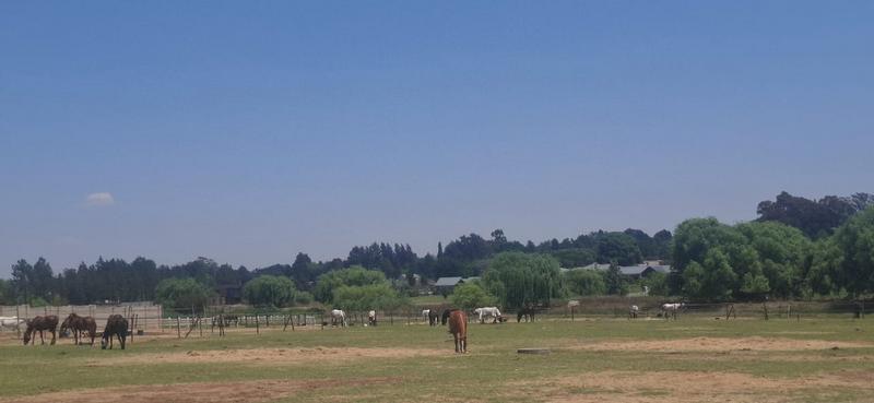 0 Bedroom Property for Sale in Dunblane Lifestyle and Equestrian Estate Gauteng
