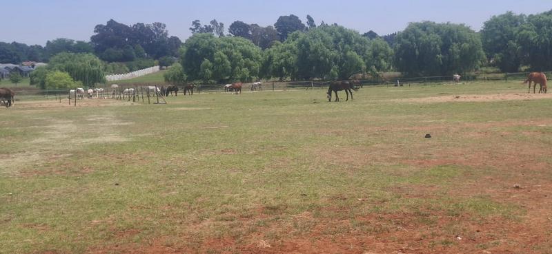 0 Bedroom Property for Sale in Dunblane Lifestyle and Equestrian Estate Gauteng