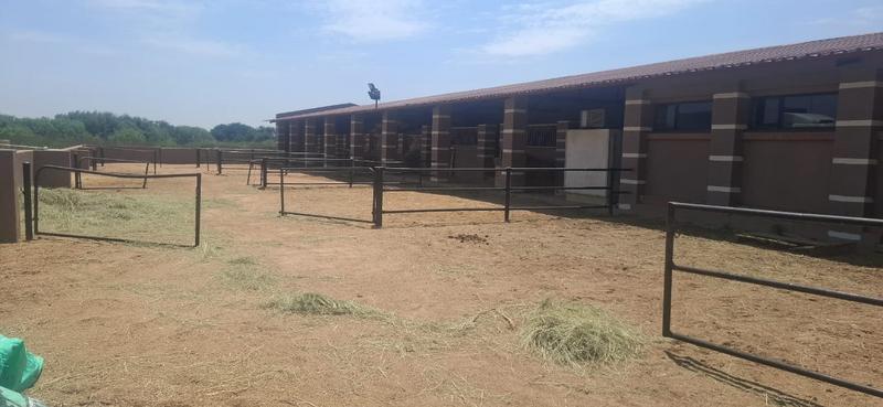 0 Bedroom Property for Sale in Dunblane Lifestyle and Equestrian Estate Gauteng