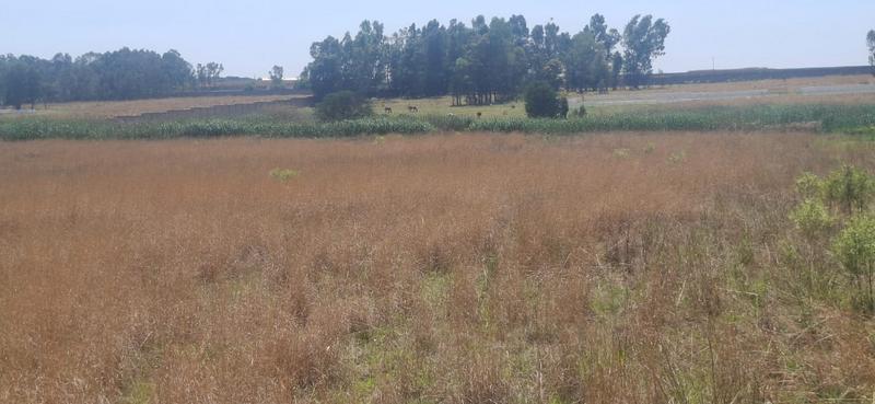 0 Bedroom Property for Sale in Dunblane Lifestyle and Equestrian Estate Gauteng
