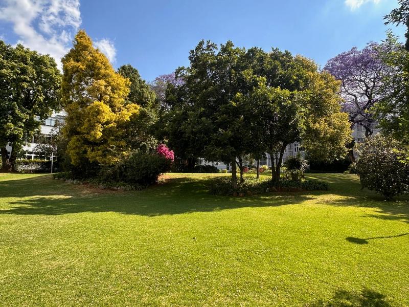 To Let 4 Bedroom Property for Rent in Melrose North Gauteng
