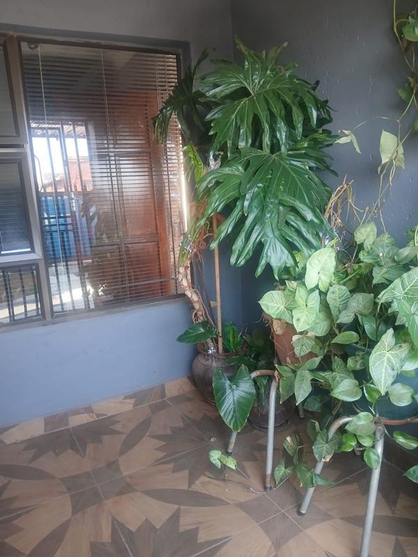 3 Bedroom Property for Sale in Simunye Gauteng