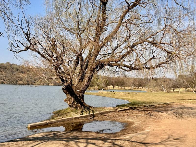 4 Bedroom Property for Sale in Waterlake Farm Lifestyle Estate Gauteng