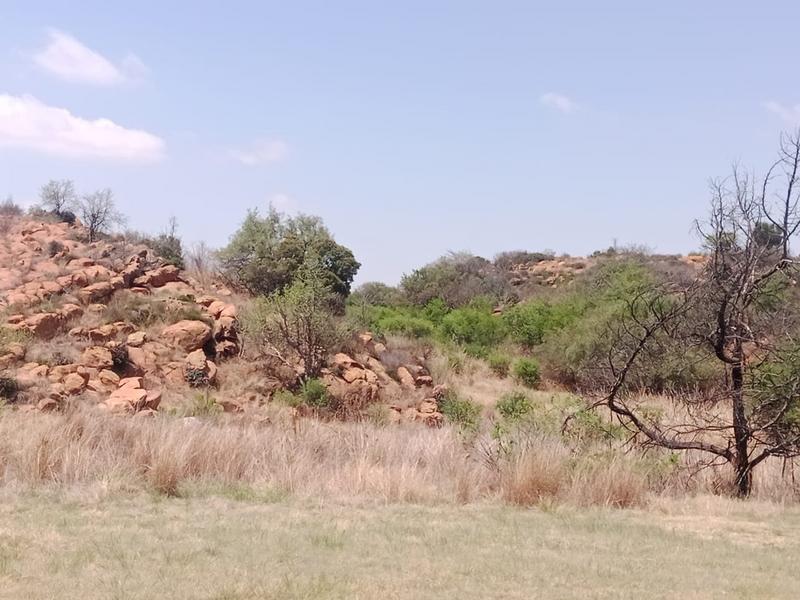 0 Bedroom Property for Sale in Berg En Dal Gauteng