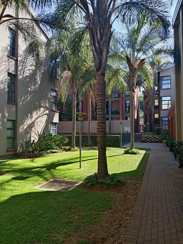 To Let 3 Bedroom Property for Rent in Morningside Gauteng