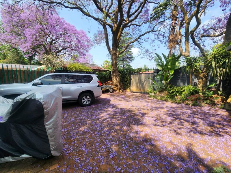 To Let 3 Bedroom Property for Rent in Craighall Park Gauteng