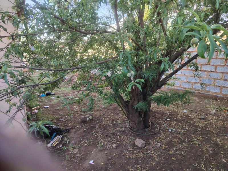 2 Bedroom Property for Sale in Palm Ridge Gauteng