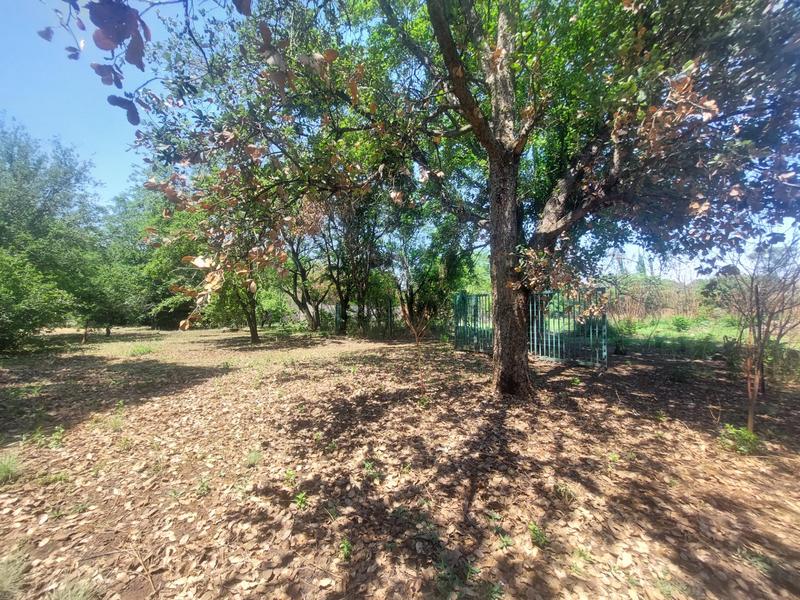 To Let 0 Bedroom Property for Rent in Raslouw A H Gauteng