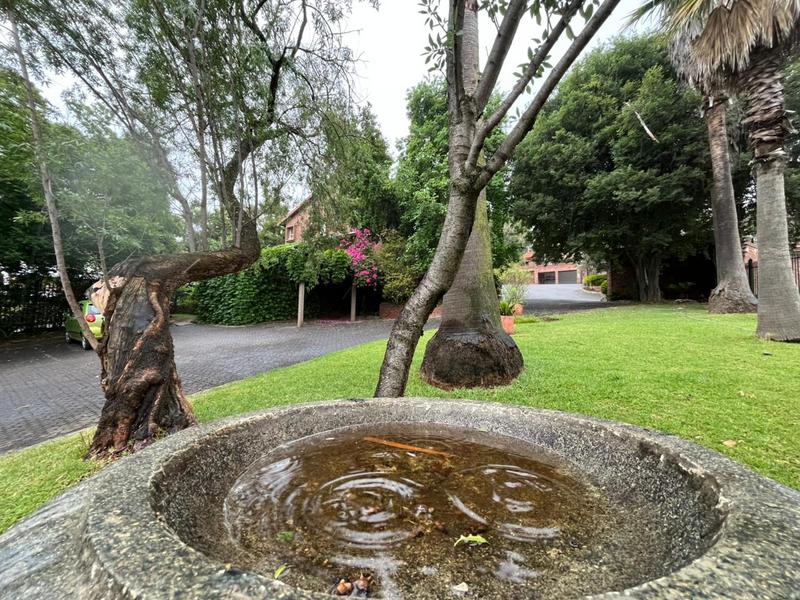 To Let 3 Bedroom Property for Rent in Waterkloof Heights Gauteng