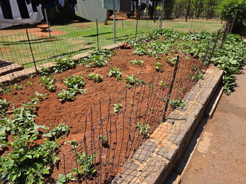 Commercial Property for Sale in Pendale Gauteng