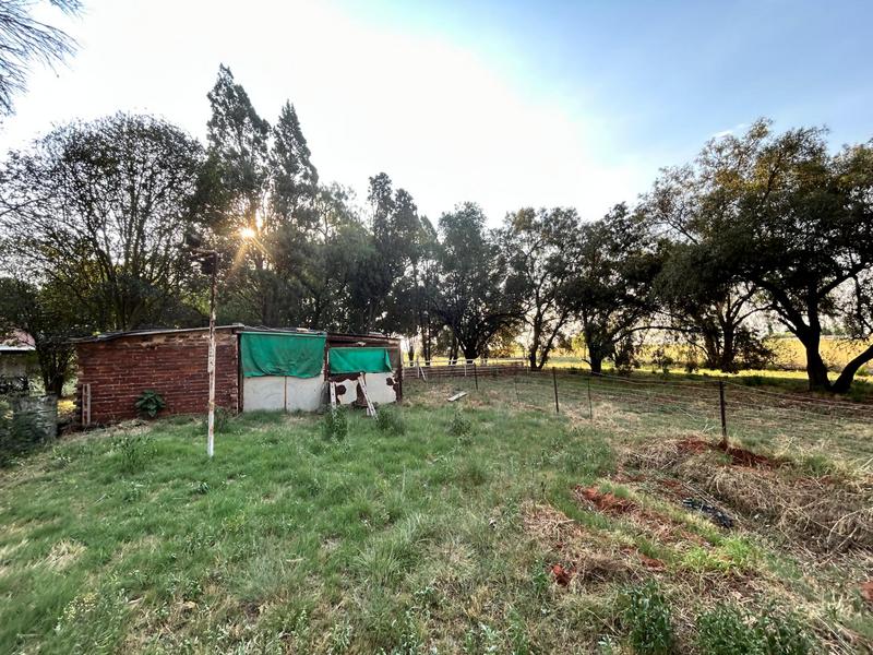 4 Bedroom Property for Sale in Vischkuil Gauteng