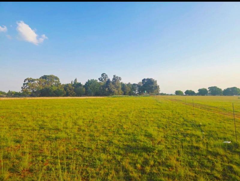 4 Bedroom Property for Sale in Endicott Gauteng