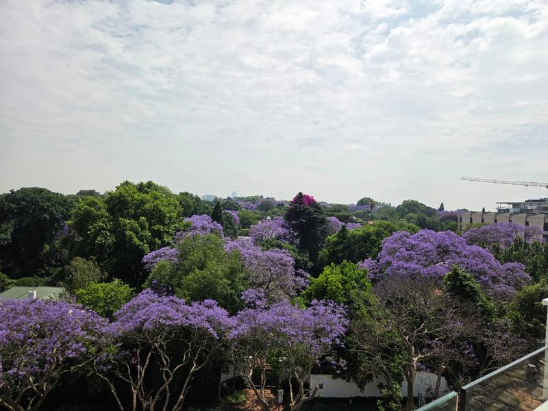 To Let 1 Bedroom Property for Rent in Rosebank Gauteng