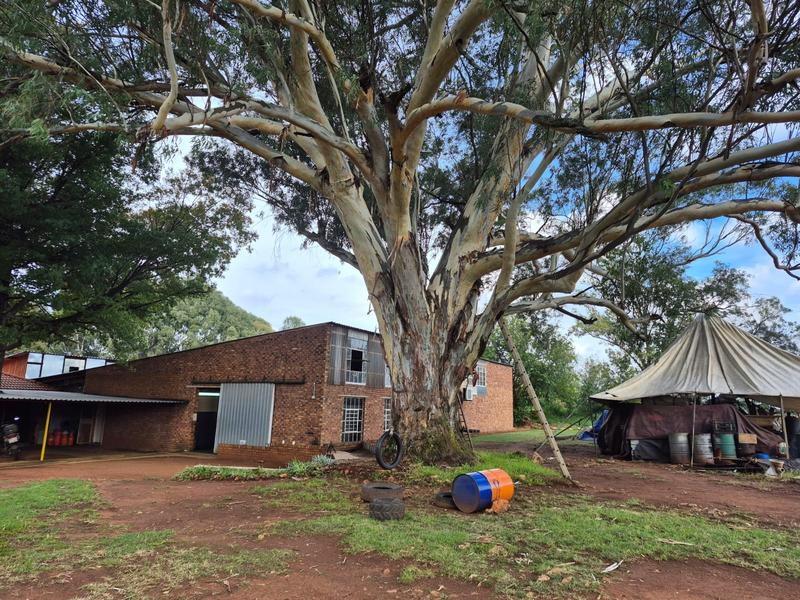 Commercial Property for Sale in Springs Gauteng