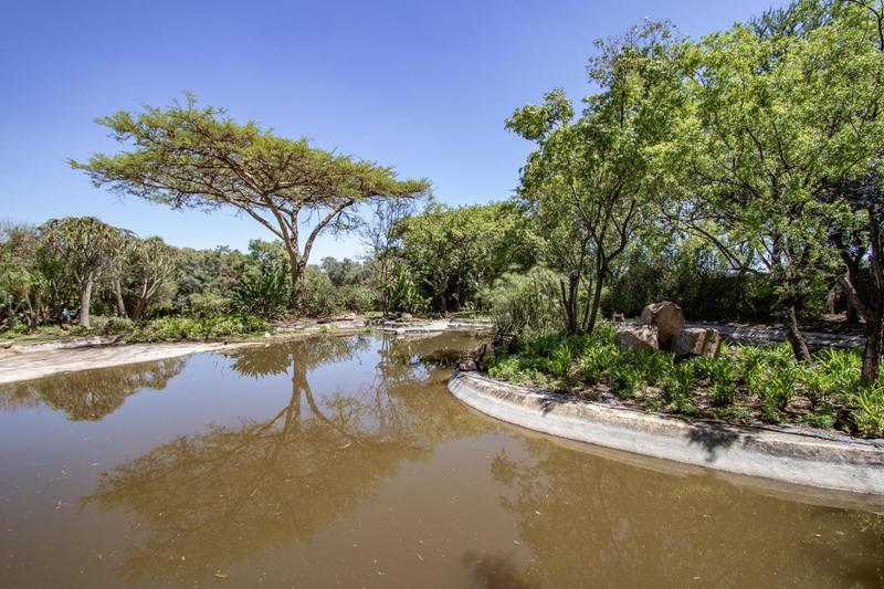 5 Bedroom Property for Sale in Beaulieu Gauteng