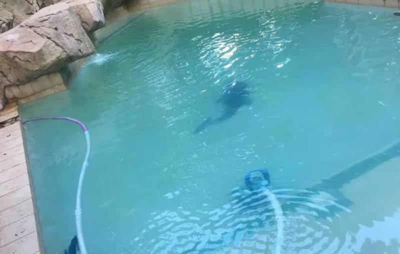 To Let 1 Bedroom Property for Rent in Houghton Gauteng