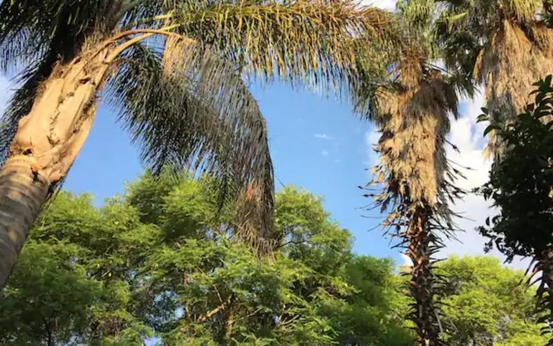 To Let 1 Bedroom Property for Rent in Houghton Gauteng