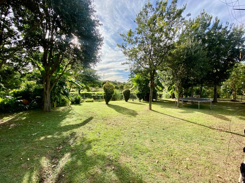 To Let 3 Bedroom Property for Rent in Craighall Gauteng