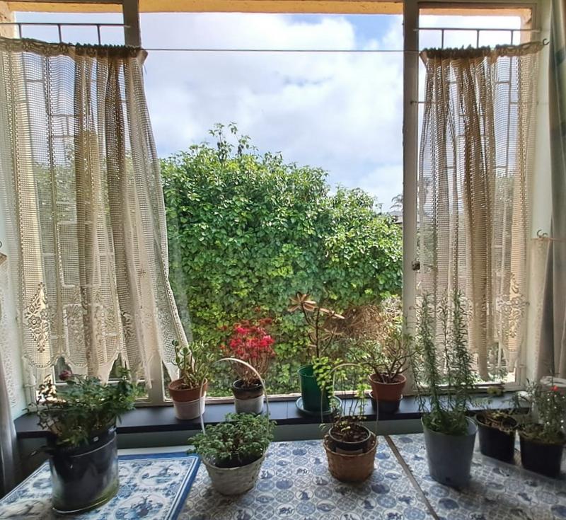 3 Bedroom Property for Sale in Primrose Gauteng