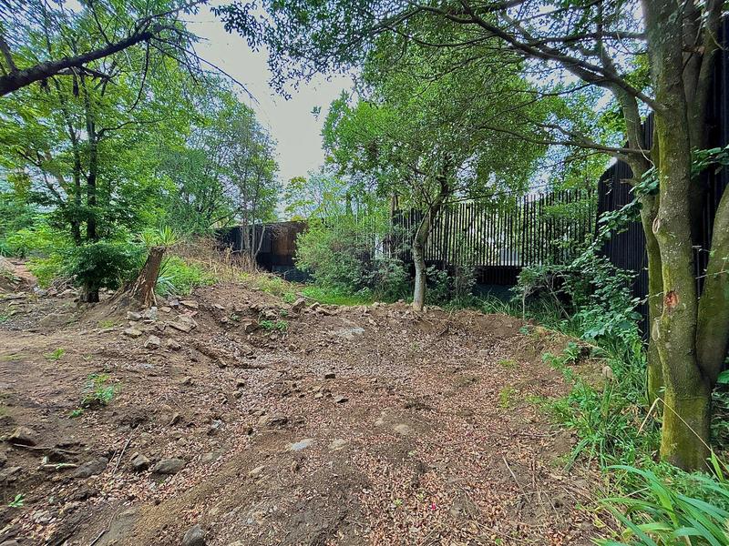 0 Bedroom Property for Sale in Dainfern Gauteng