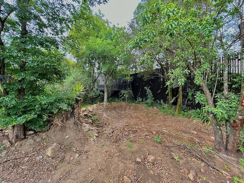 0 Bedroom Property for Sale in Dainfern Gauteng