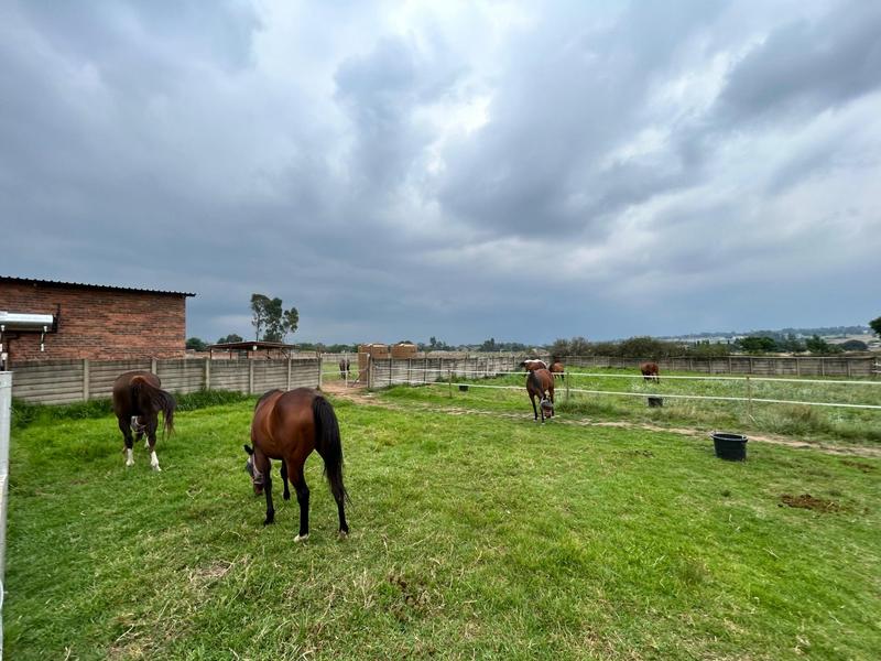 6 Bedroom Property for Sale in Benoni AH Gauteng