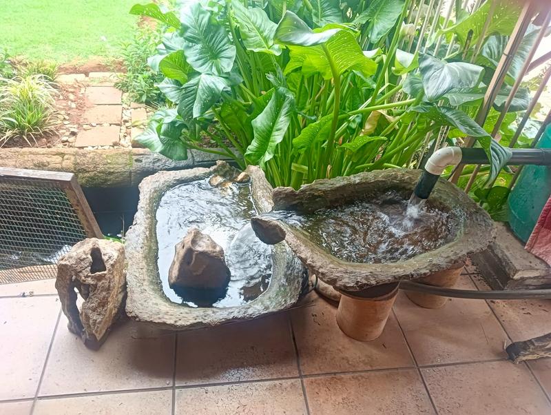 4 Bedroom Property for Sale in Parkrand Gauteng